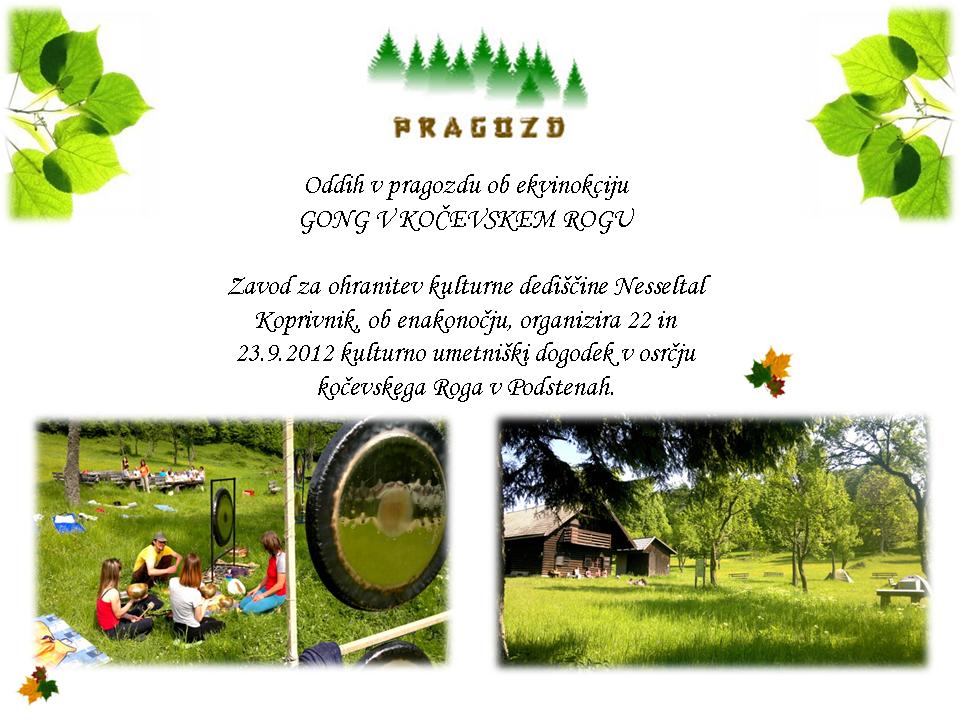 gong kocevje